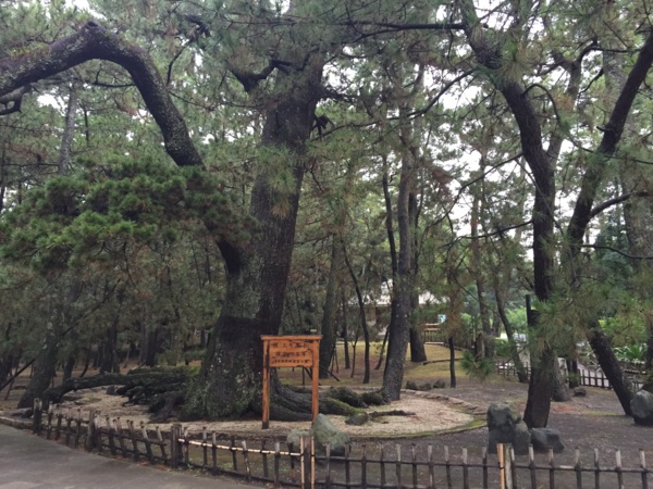 [浜松静岡][Garden]