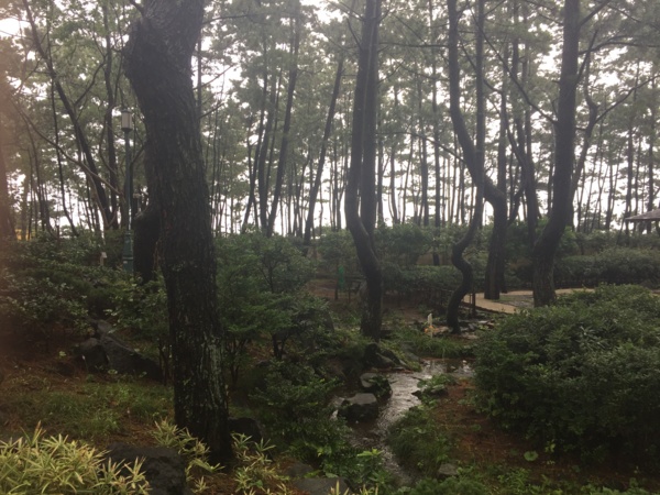 [浜松静岡][Garden]