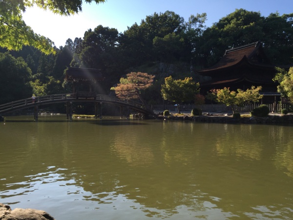 f:id:airgyan:20160912204908j:image f:id:airgyan:20160912204908j:image