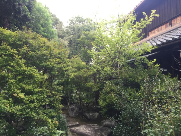 [浜松静岡][Garden]