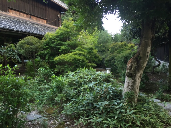 [浜松静岡][Garden]