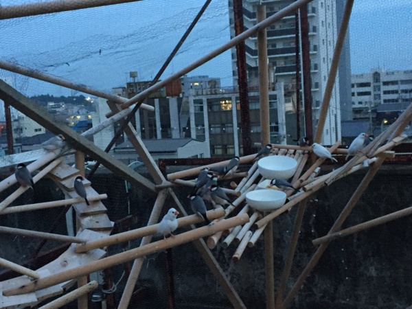 f:id:airgyan:20160912212022j:image f:id:airgyan:20160912212022j:image