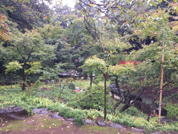 f:id:airgyan:20160925205835j:image