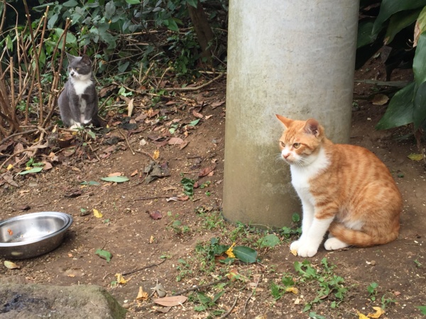 f:id:airgyan:20161024222232j:image f:id:airgyan:20161024222232j:image