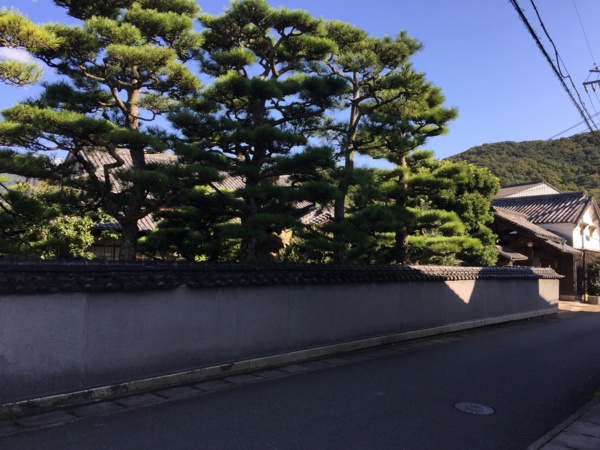 f:id:airgyan:20161024230127j:image