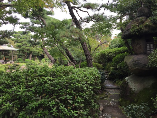 f:id:airgyan:20161026222256j:image f:id:airgyan:20161026222256j:image