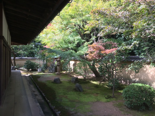 f:id:airgyan:20161028140659j:image f:id:airgyan:20161028140659j:image