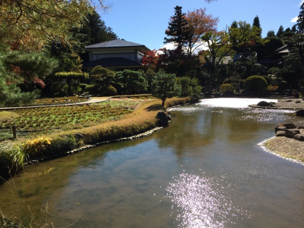 f:id:airgyan:20161103235535j:image f:id:airgyan:20161103235535j:image