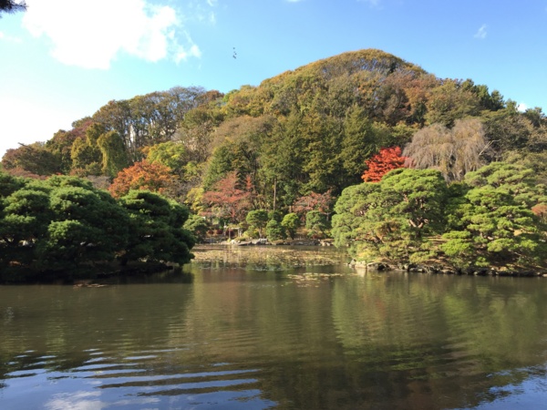 f:id:airgyan:20161104232129j:image f:id:airgyan:20161104232129j:image