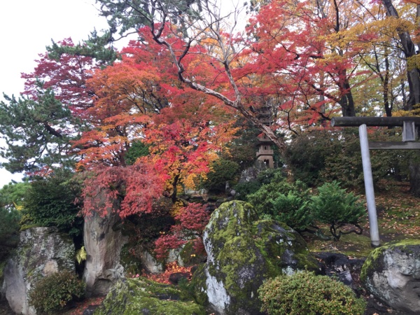 f:id:airgyan:20161105232050j:image f:id:airgyan:20161105232050j:image