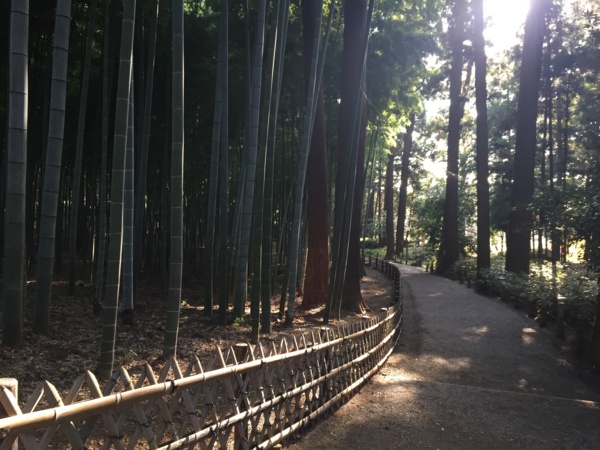 f:id:airgyan:20161119224815j:image f:id:airgyan:20161119224815j:image