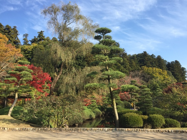 f:id:airgyan:20161119224817j:image f:id:airgyan:20161119224817j:image