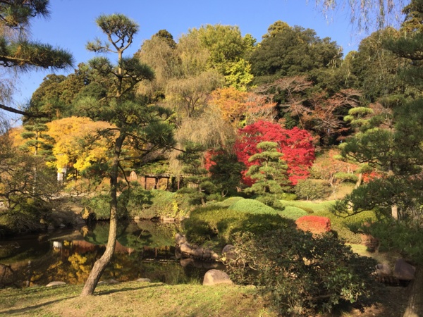 f:id:airgyan:20161119224819j:image f:id:airgyan:20161119224819j:image