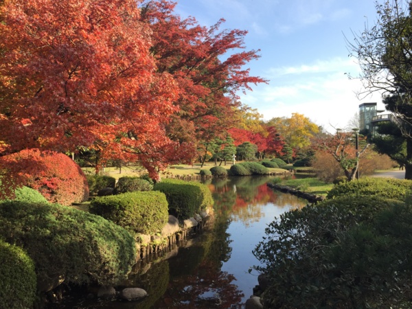 f:id:airgyan:20161119224820j:image f:id:airgyan:20161119224820j:image