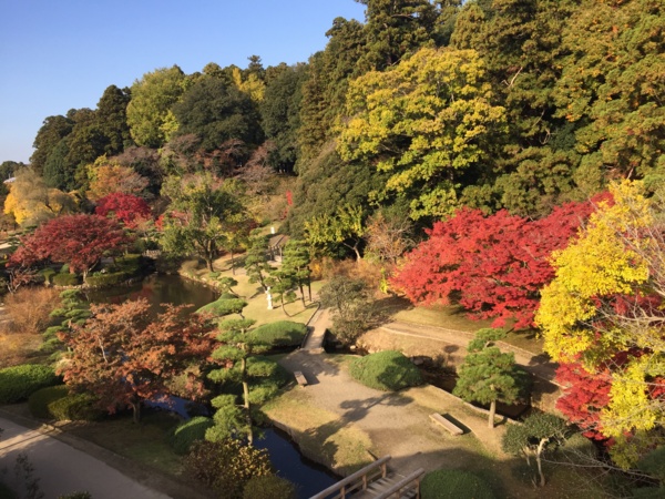 f:id:airgyan:20161119224823j:image f:id:airgyan:20161119224823j:image