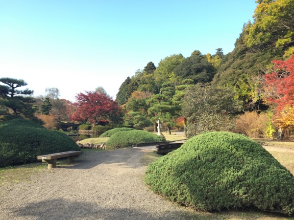 f:id:airgyan:20161119224825j:image f:id:airgyan:20161119224825j:image