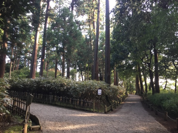 f:id:airgyan:20161119224826j:image f:id:airgyan:20161119224826j:image