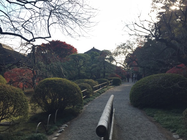 f:id:airgyan:20161119224827j:image f:id:airgyan:20161119224827j:image