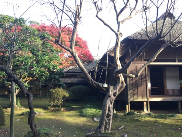 f:id:airgyan:20161119224828j:image f:id:airgyan:20161119224828j:image