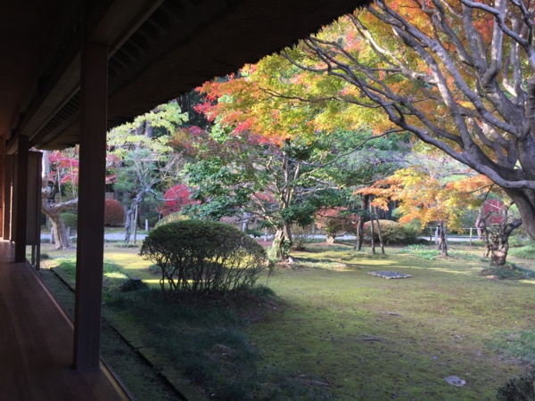 f:id:airgyan:20161119224833j:image f:id:airgyan:20161119224833j:image