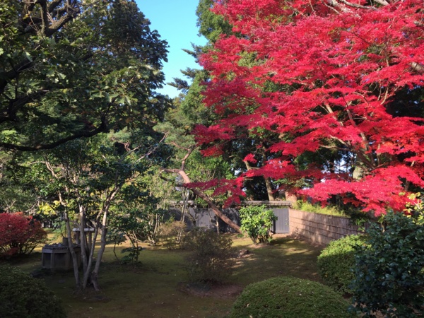 f:id:airgyan:20161119224834j:image f:id:airgyan:20161119224834j:image