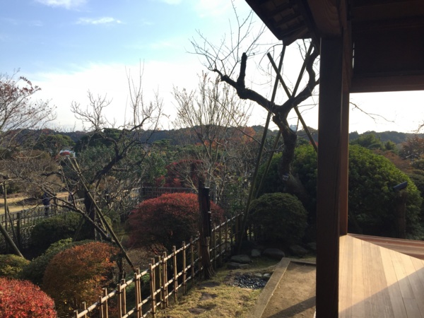 f:id:airgyan:20161119224835j:image f:id:airgyan:20161119224835j:image