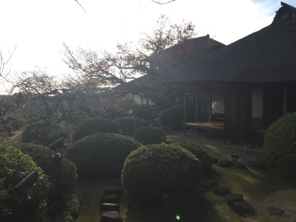 f:id:airgyan:20161119224836j:image f:id:airgyan:20161119224836j:image