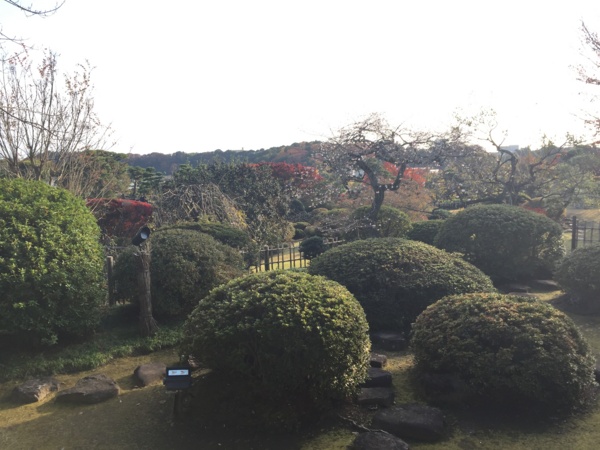 f:id:airgyan:20161119224837j:image f:id:airgyan:20161119224837j:image