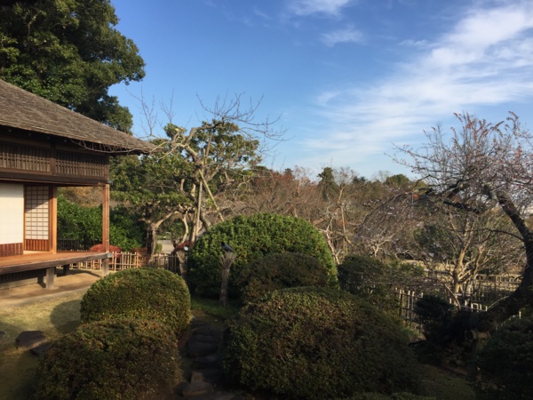 f:id:airgyan:20161119224838j:image f:id:airgyan:20161119224838j:image