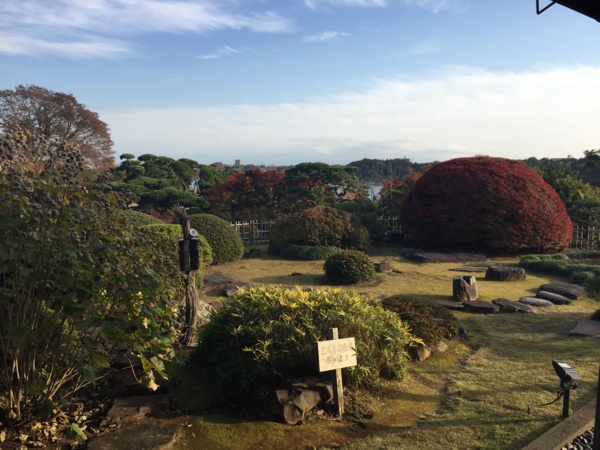 f:id:airgyan:20161119224839j:image f:id:airgyan:20161119224839j:image