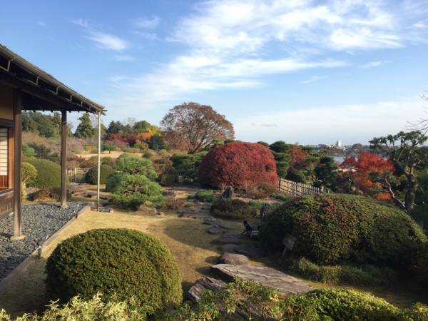 f:id:airgyan:20161119224845j:image f:id:airgyan:20161119224845j:image