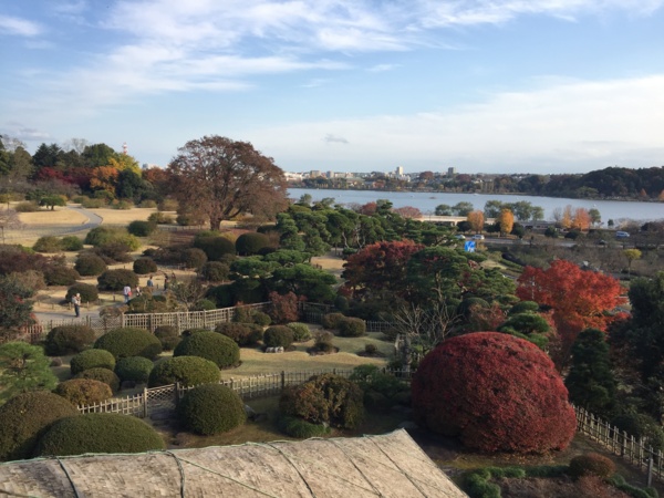 f:id:airgyan:20161119224847j:image f:id:airgyan:20161119224847j:image