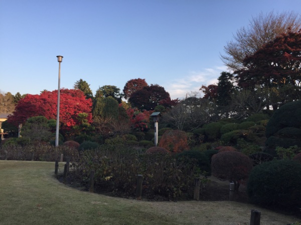 f:id:airgyan:20161119225440j:image f:id:airgyan:20161119225440j:image