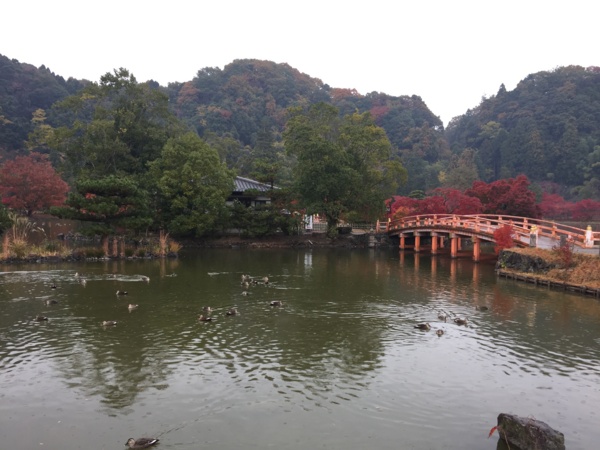 f:id:airgyan:20161119234408j:image f:id:airgyan:20161119234408j:image