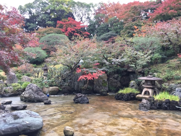 [Garden][Tokyo]