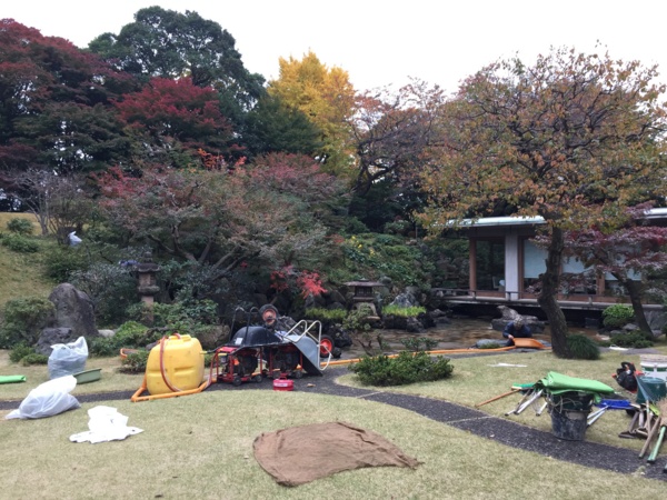 [Garden][Tokyo]