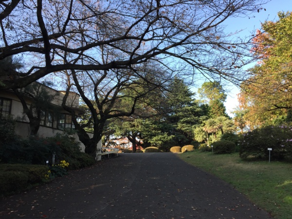 f:id:airgyan:20161122190926j:image