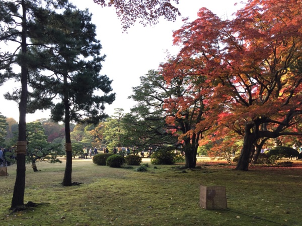 f:id:airgyan:20161122190942j:image