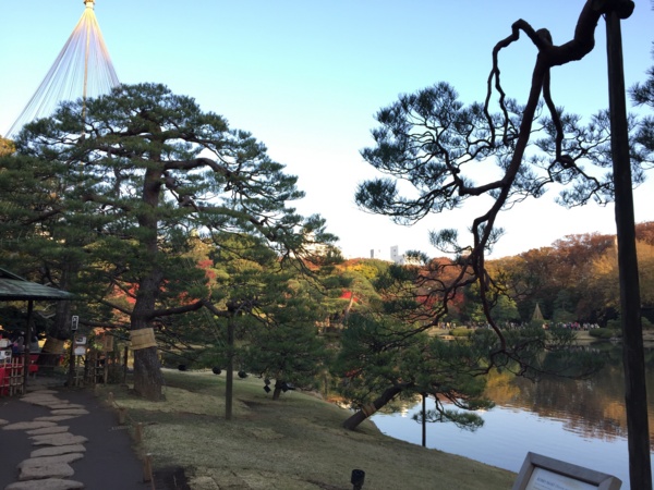 f:id:airgyan:20161122190950j:image