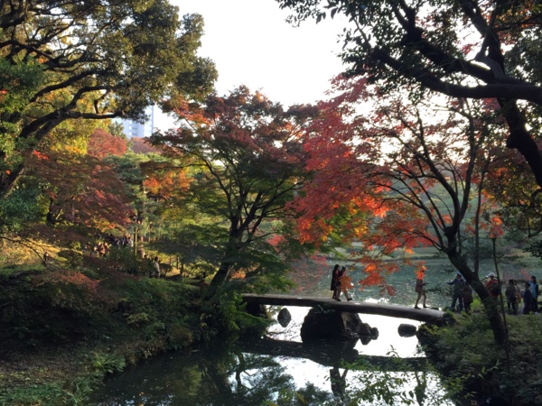 f:id:airgyan:20161122191000j:image