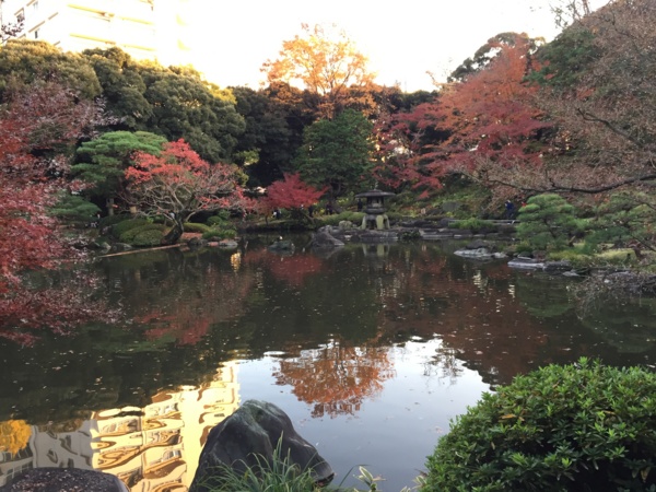 f:id:airgyan:20161122191007j:image