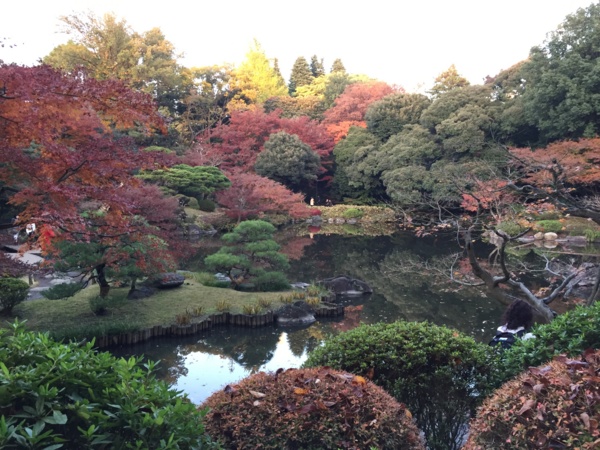 f:id:airgyan:20161122191015j:image