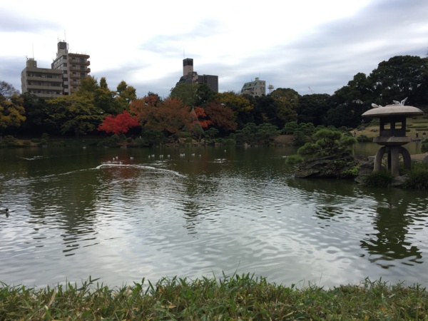 [Garden][Tokyo]