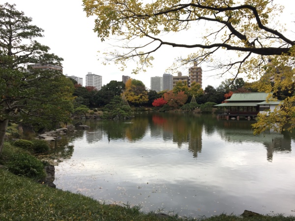 [Garden][Tokyo]