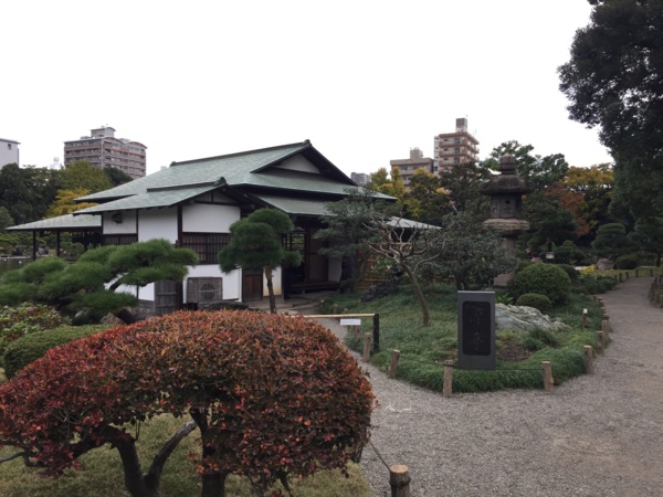 [Garden][Tokyo]