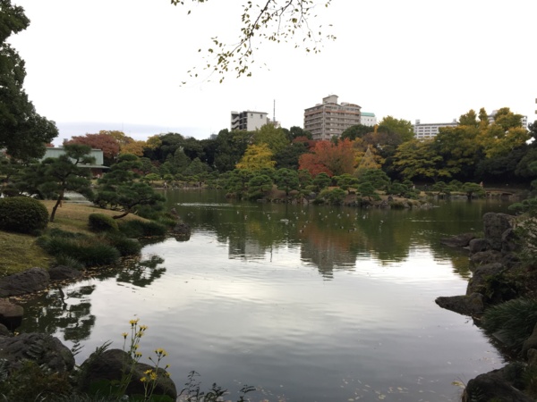 [Garden][Tokyo]