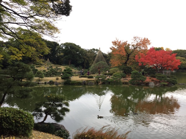 [Garden][Tokyo]