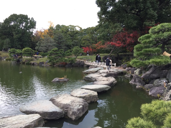 [Garden][Tokyo]