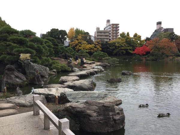 [Garden][Tokyo]