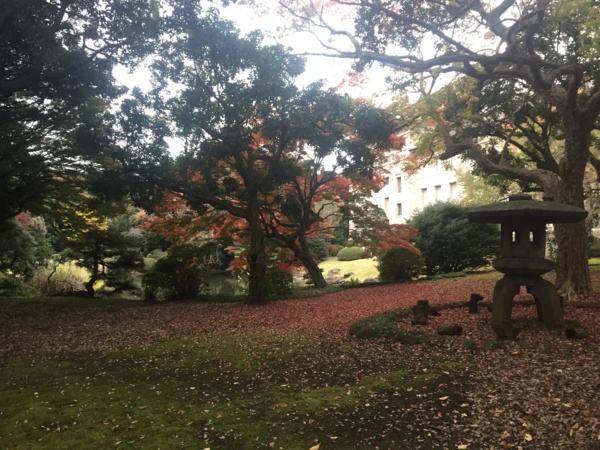 [Garden][Tokyo]